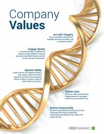 Company Values